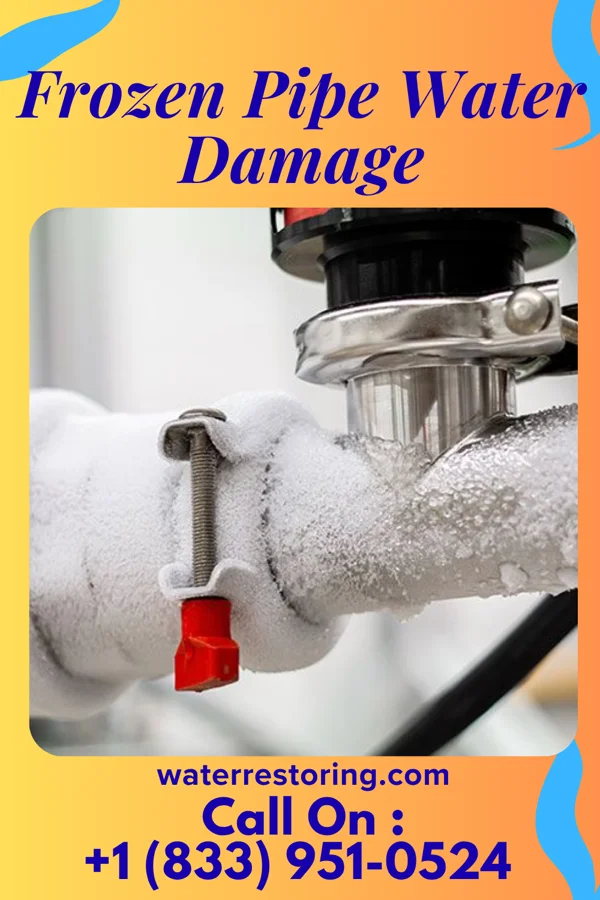 Frozen Pipe Water Damage in Pine Level, FL